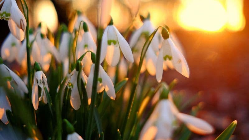 Term 3 Newsletter - February 2026