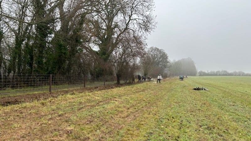 Our partnership with the Sapperton Wilder Project!