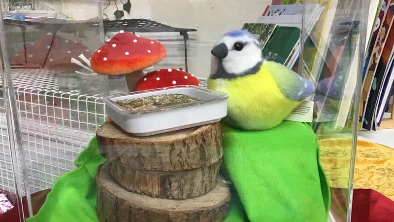 Maple Class Gets Creative at Forest School