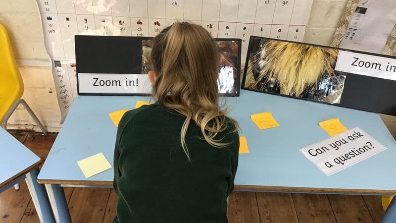 British Science Week