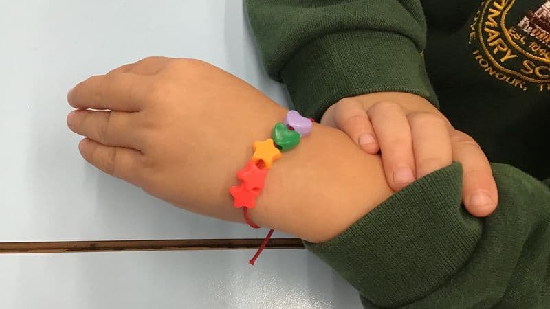 Raksha Bandhan