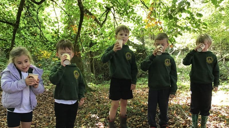 If you go down to the woods today...